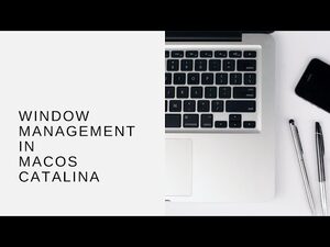 Window Management in MacOS Catalina